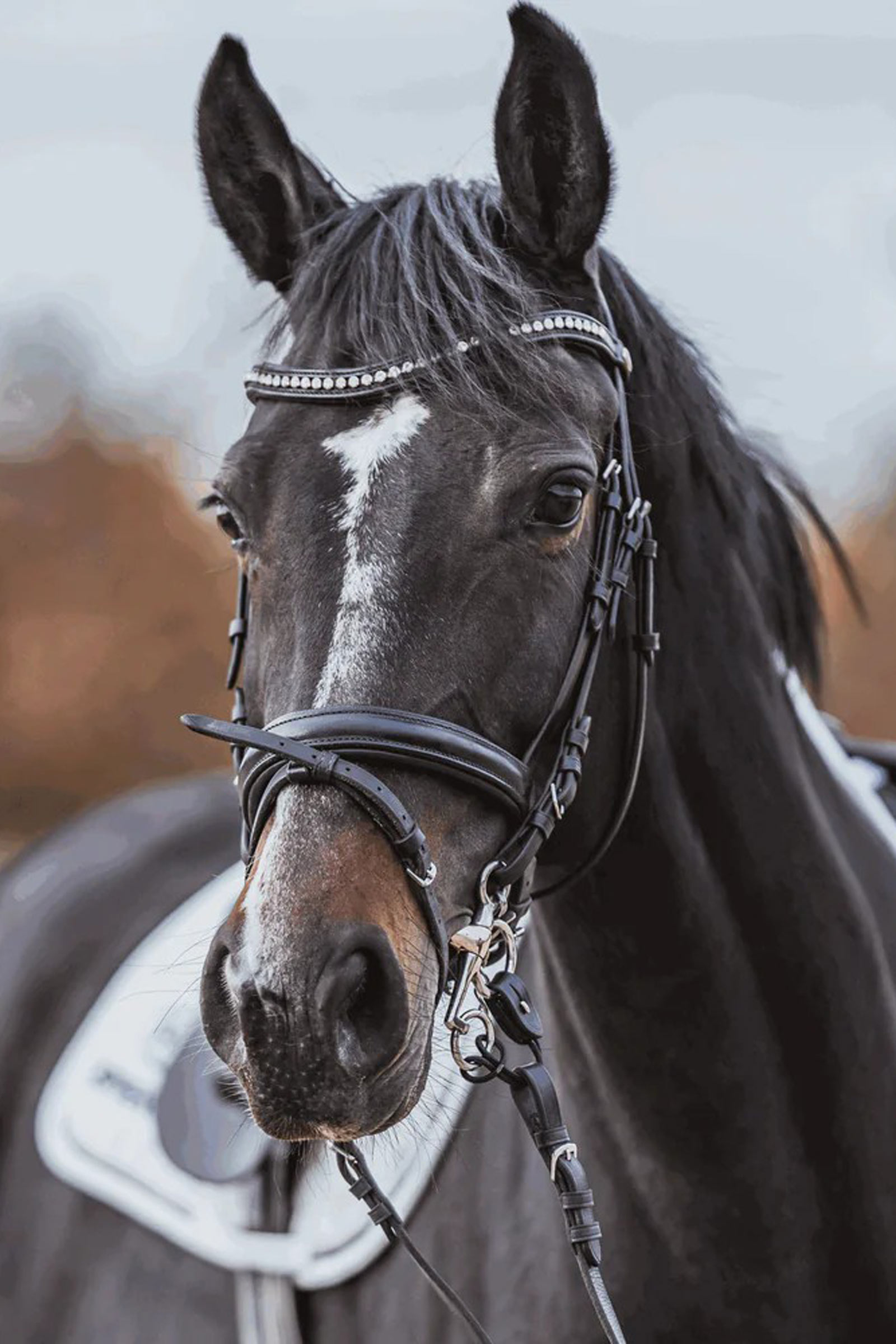 Sprenger Dynamic RS Pelham, Sensogan, doppelt gebrochen, 16 mm