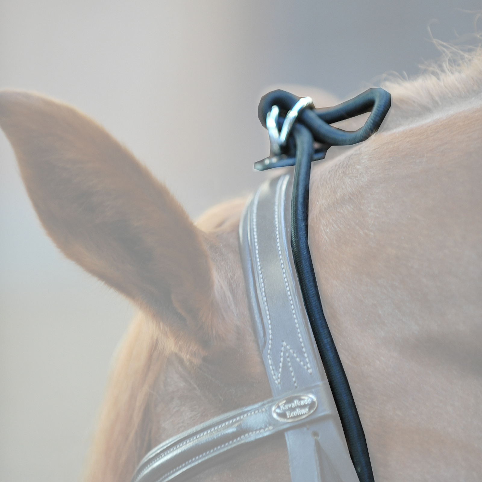 Kavalkade Halsverl&auml;ngerer