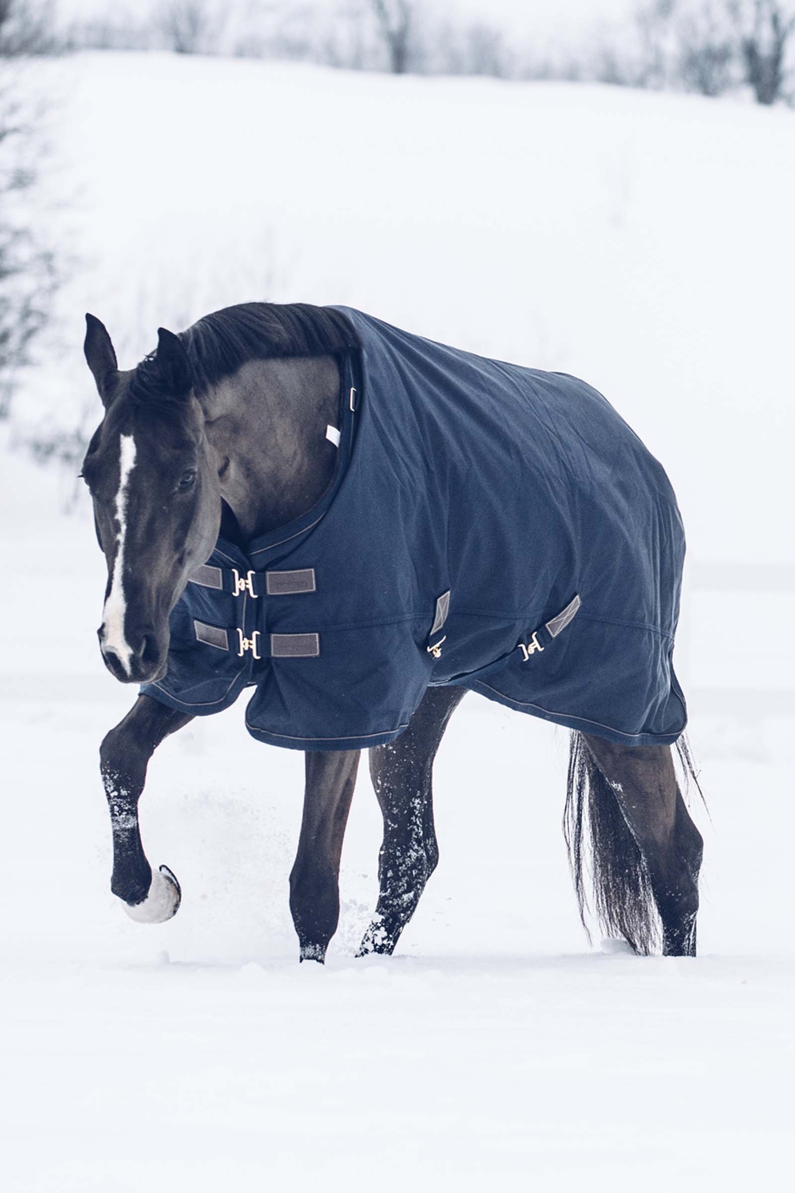 Kentucky Horsewear All Weather Waterproof Classic Winterdecke, 300g
