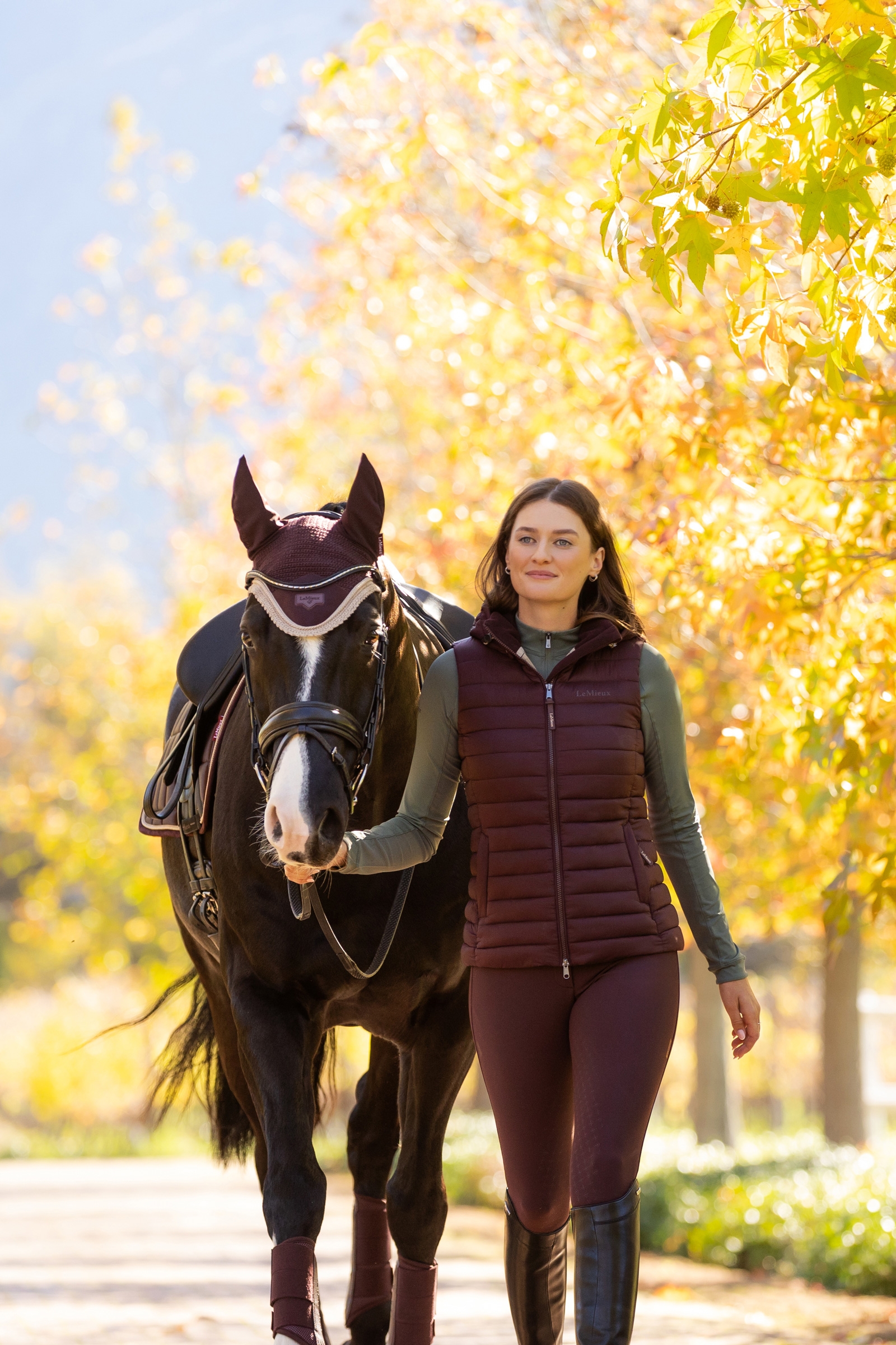LeMieux Loire Fliegenhaube