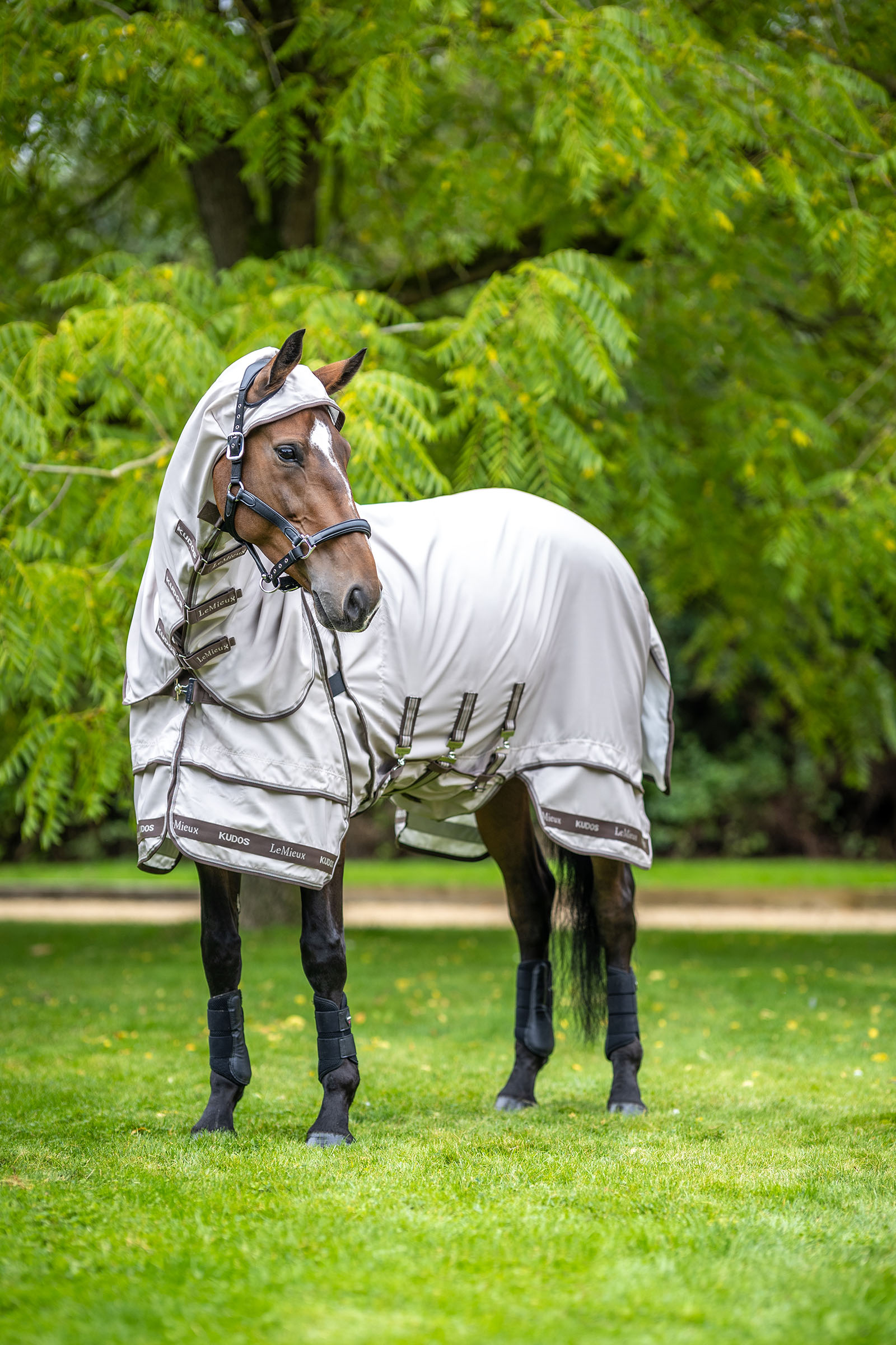 LeMieux Kudos Ekzemerdecke