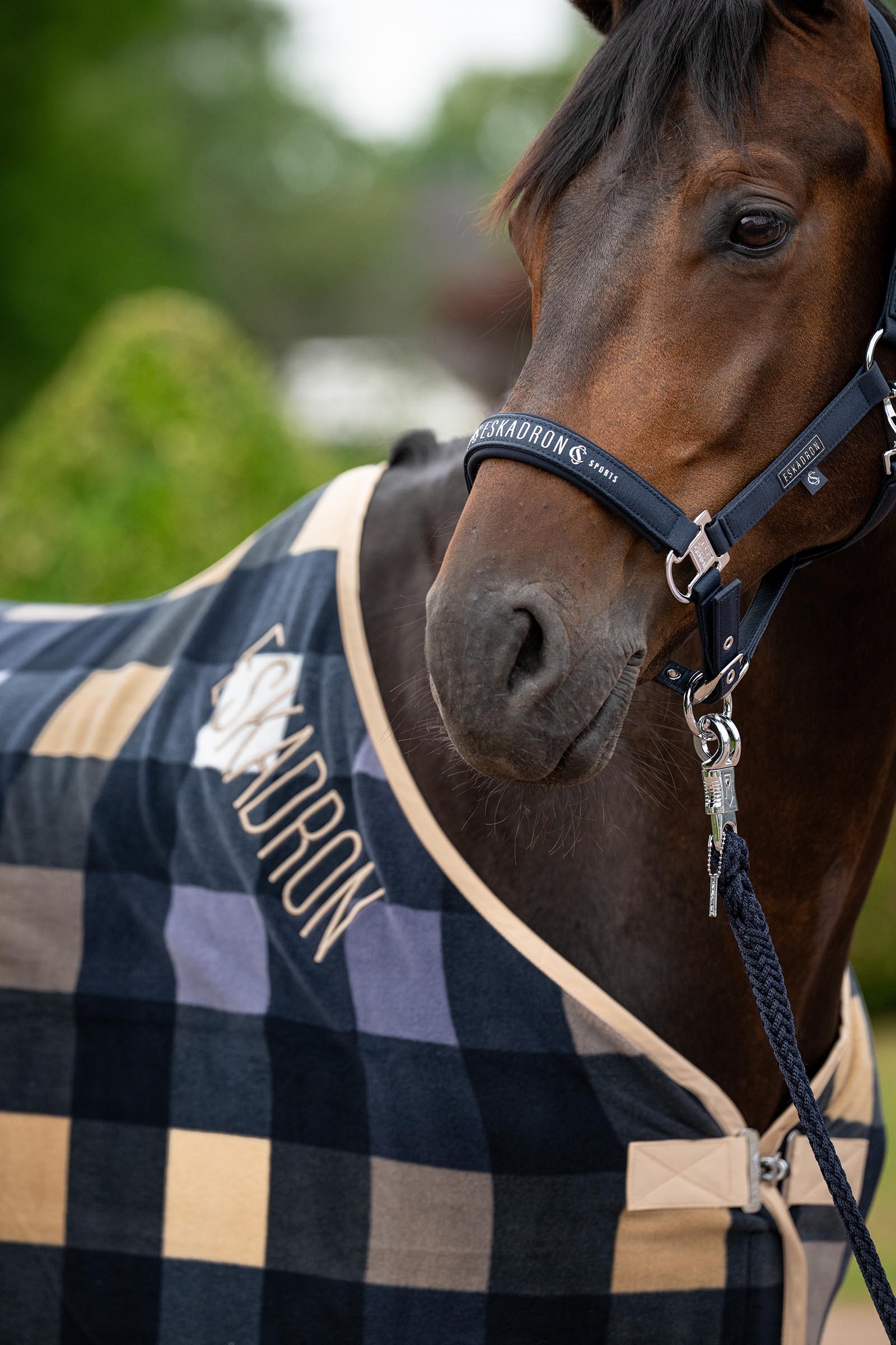 Eskadron Classic Sport SS26 Sparkle Halfter mit Doppelstiftschnalle