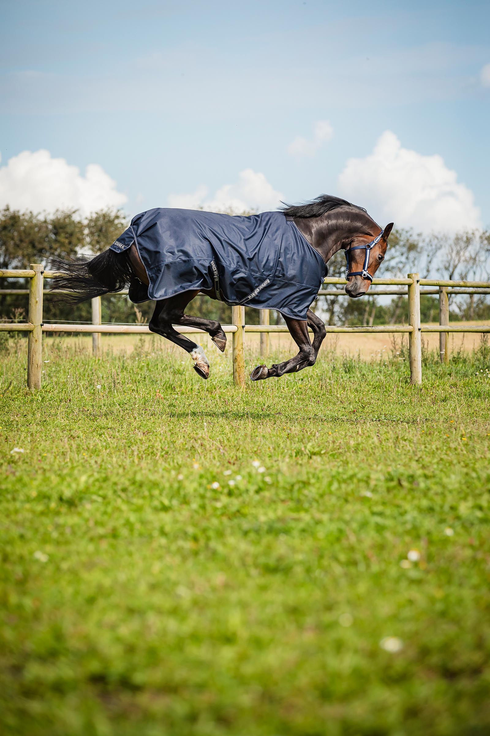 HorseGuard Landon 1200D Weidedecke mit Standard Hals, 0 g