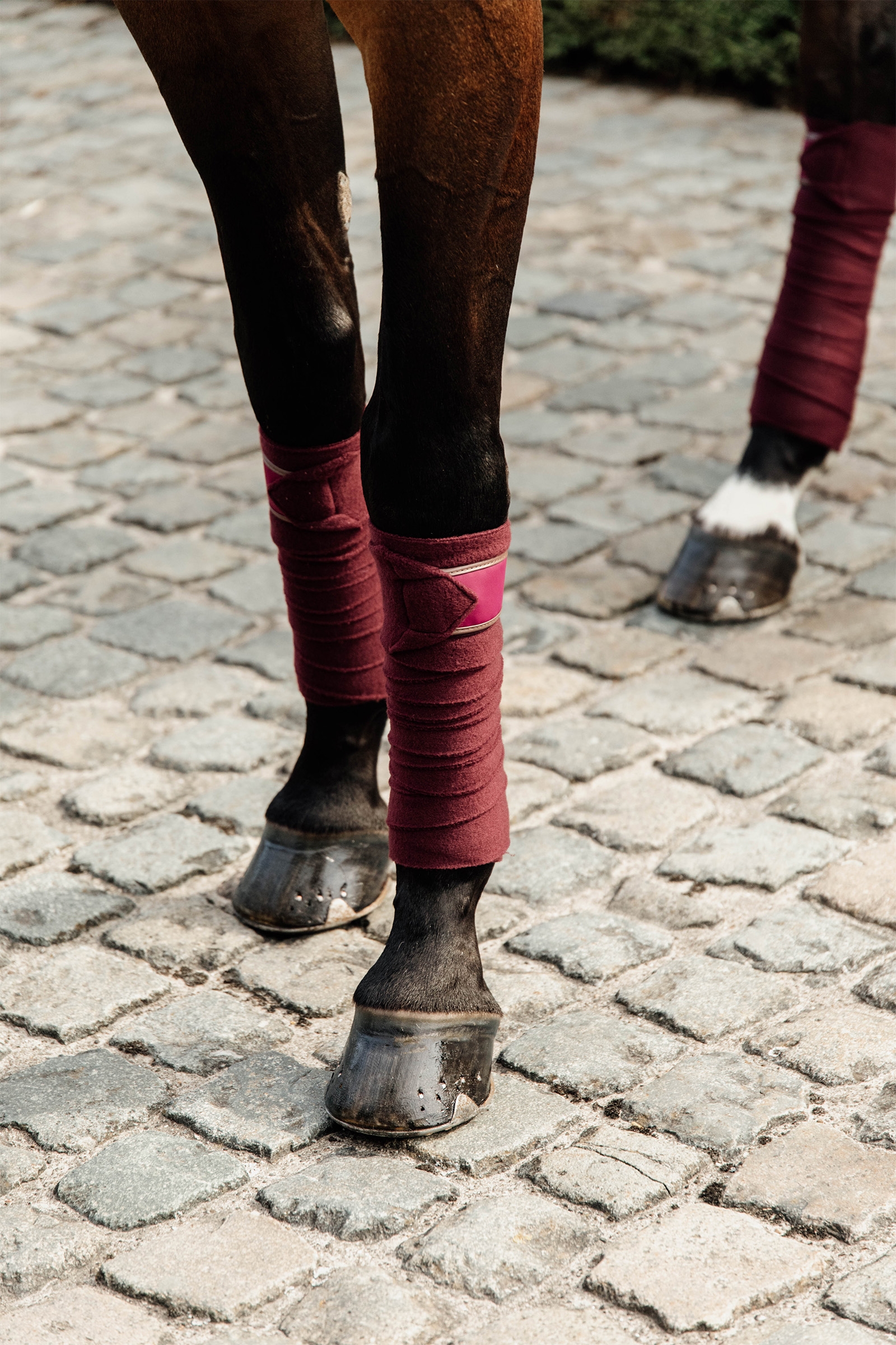 Kentucky Horsewear Polar Fleece Bandagen