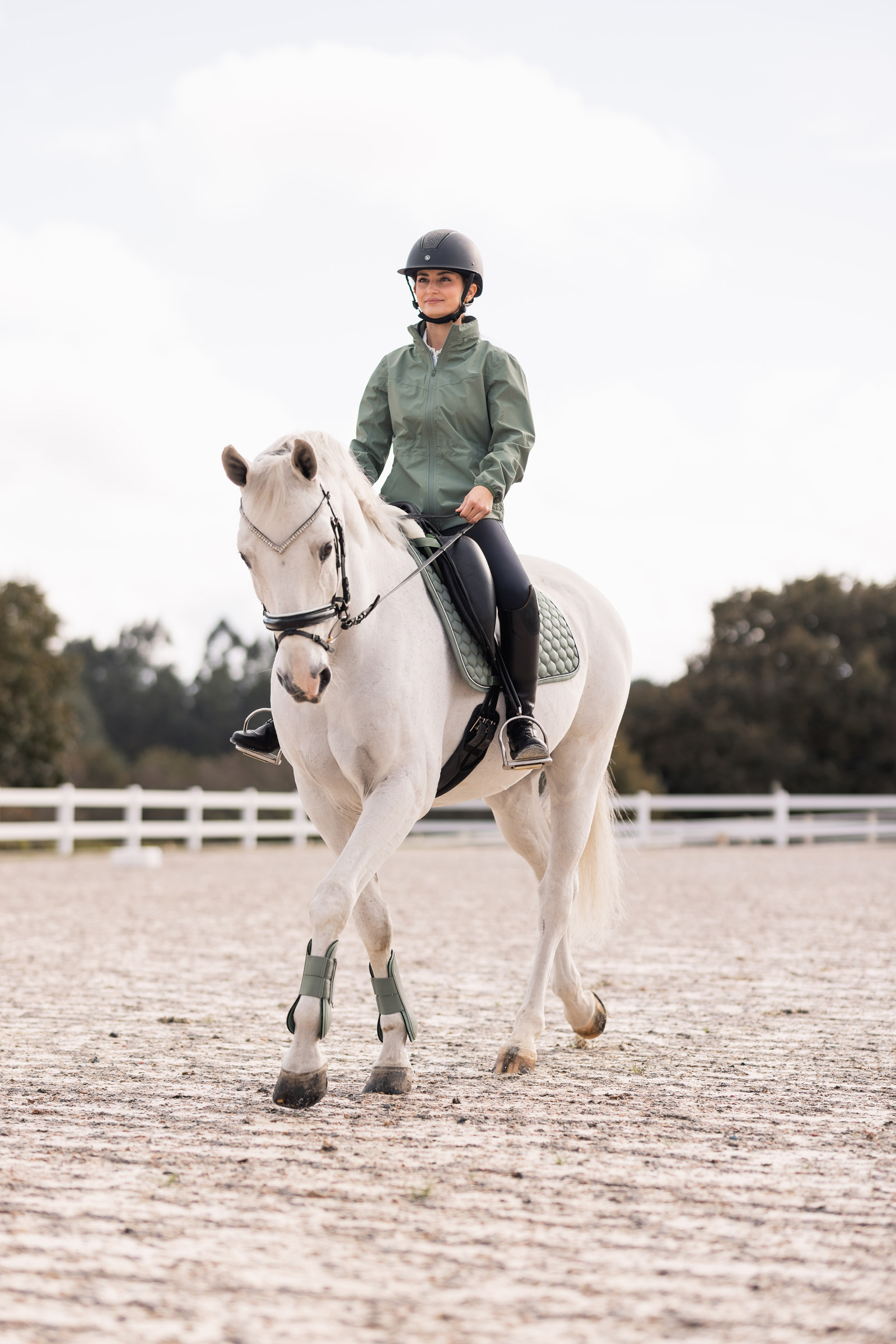 Sage Equestrian Elegance
