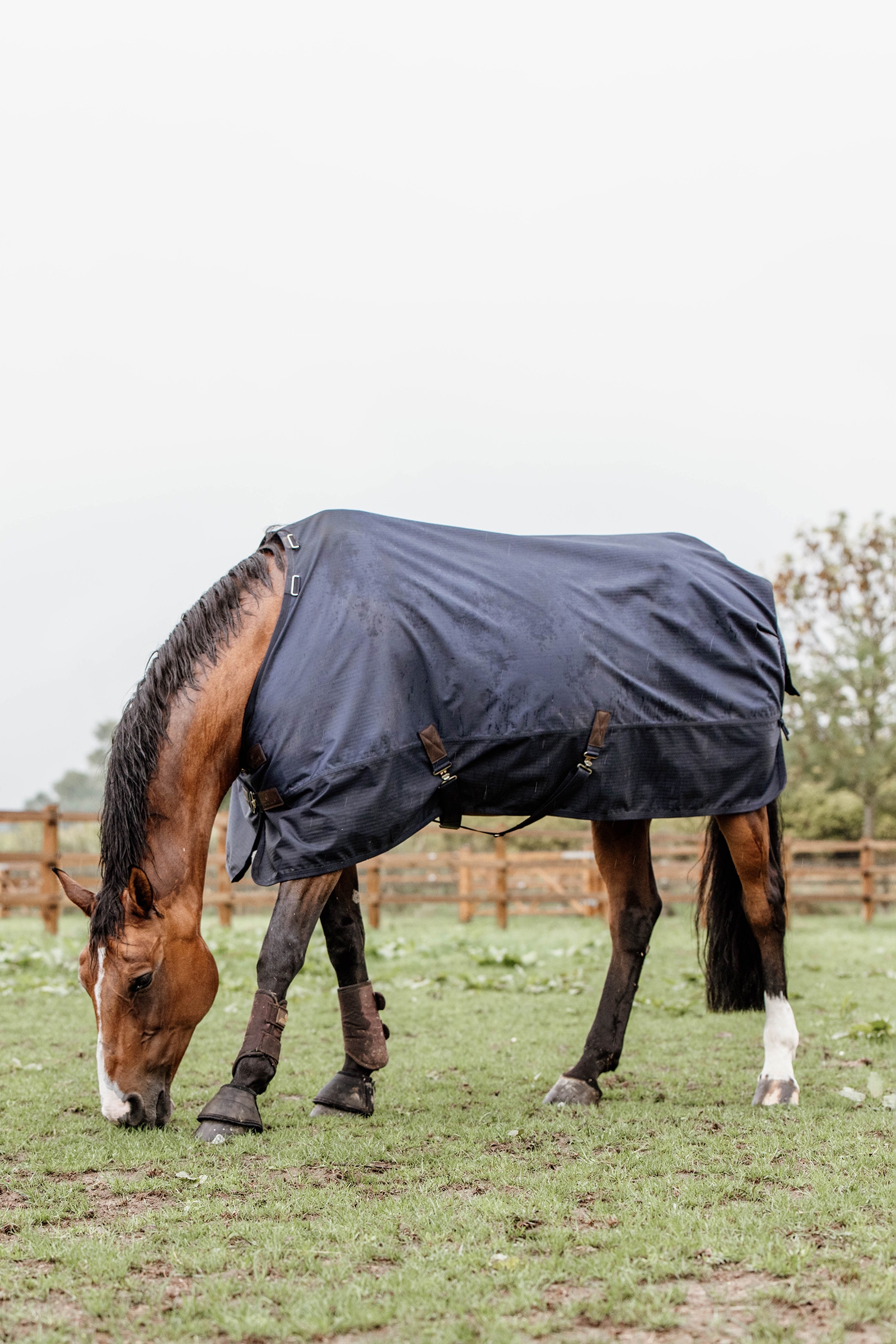 Kentucky Horsewear All Weather Weidedecke,  300g