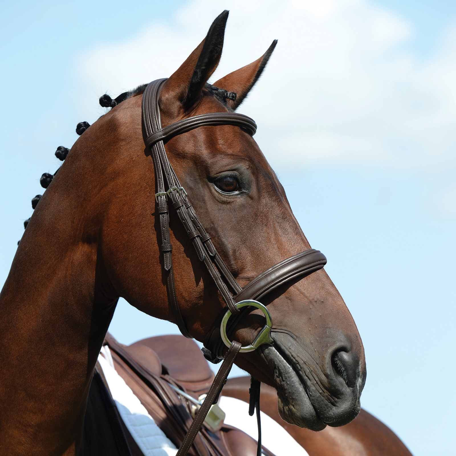 Brown Collegiate Syntovia+ Padded Raised Cavesson Bridle