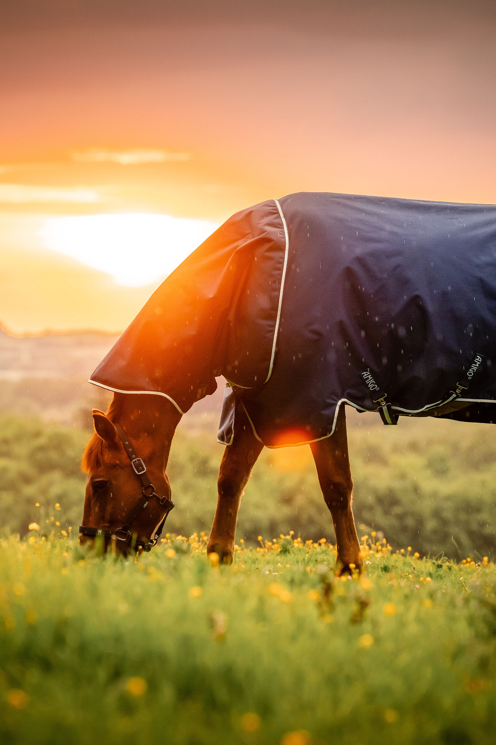 Witney Navy Horseware Amigo Ripstop 900D Plus Weidedecke mit abnehmbarem Halsteil, 0 g