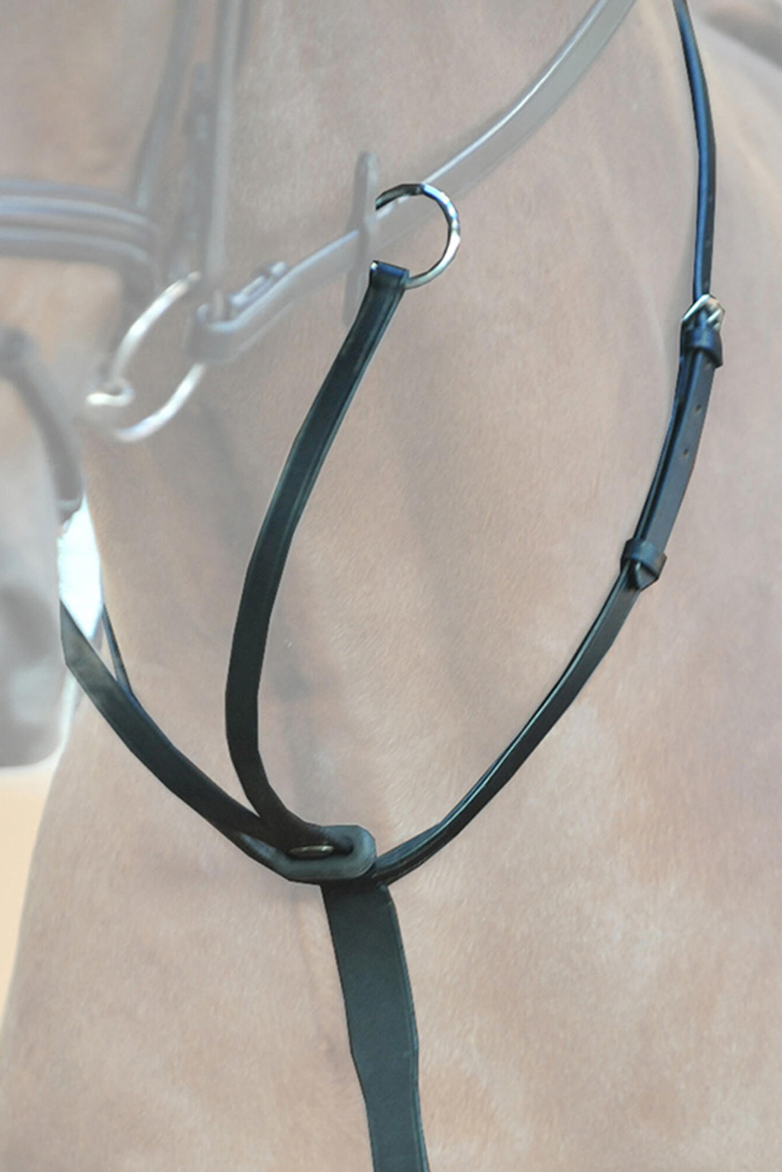 Kavalkade Ecoline Martingal mit Stoppern