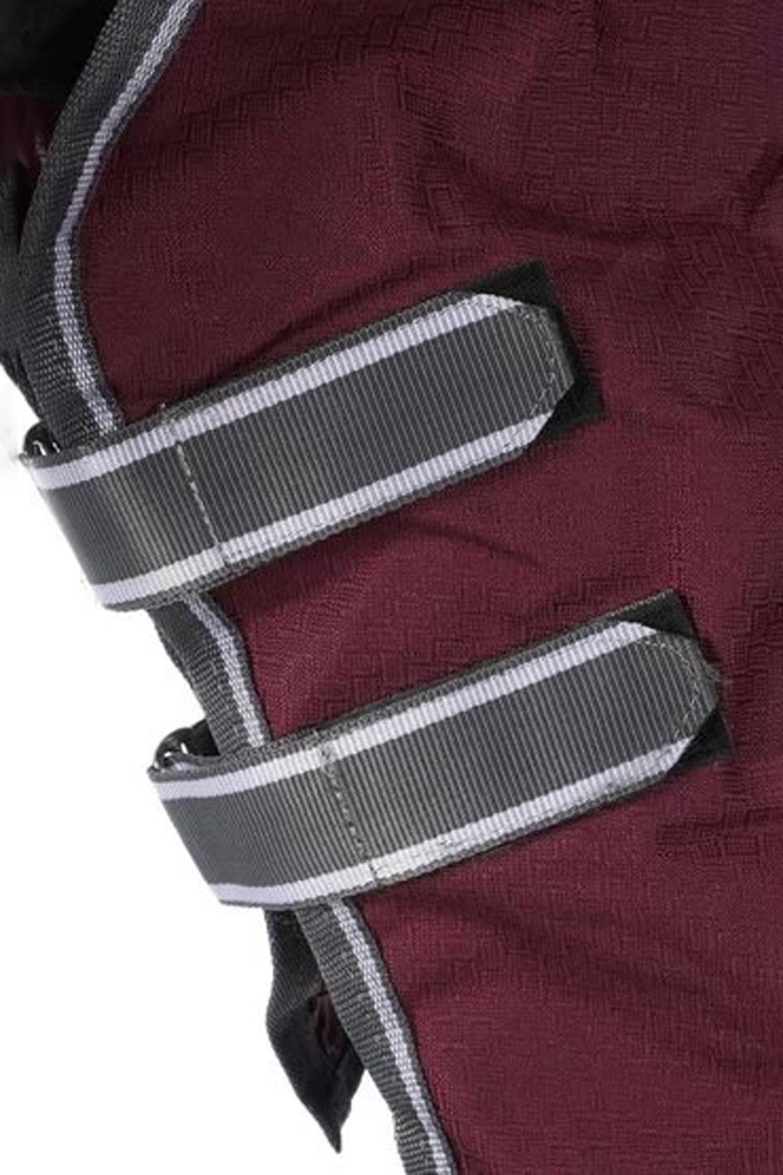 Weatherbeeta Comfitec Plus Dynamic II Weidedecke mit abnehmbarem Halsteil, 100g