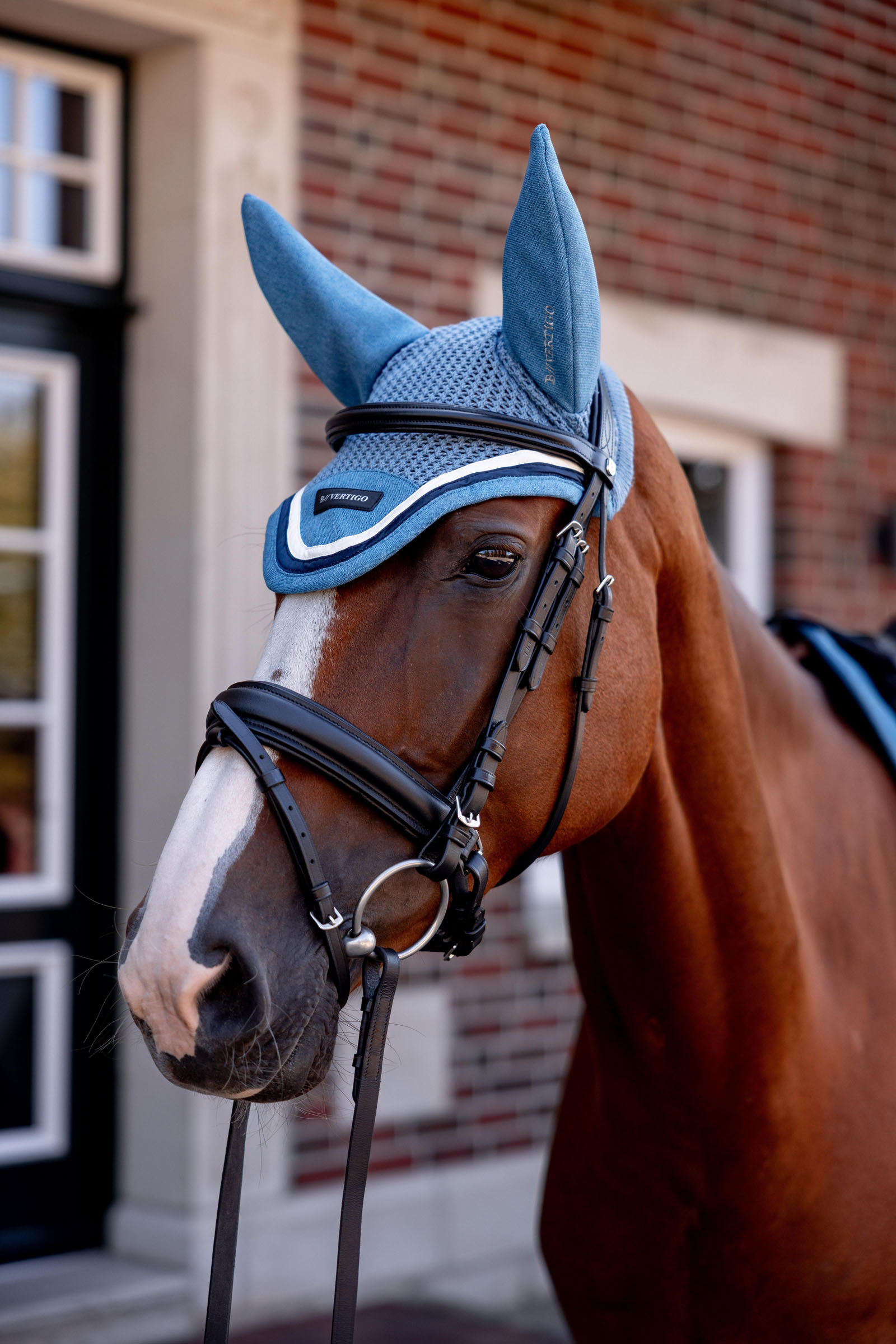 B Vertigo High Altitude Ohrenhaube