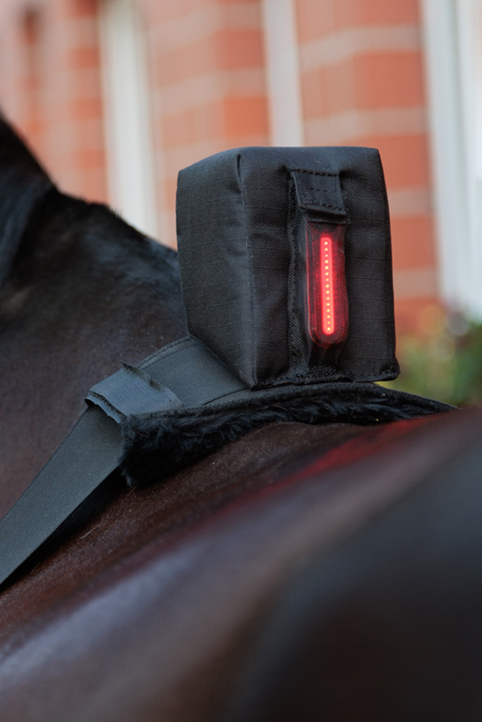 Kavalkade Horselight Bauchgurt mit rotem Rücklicht