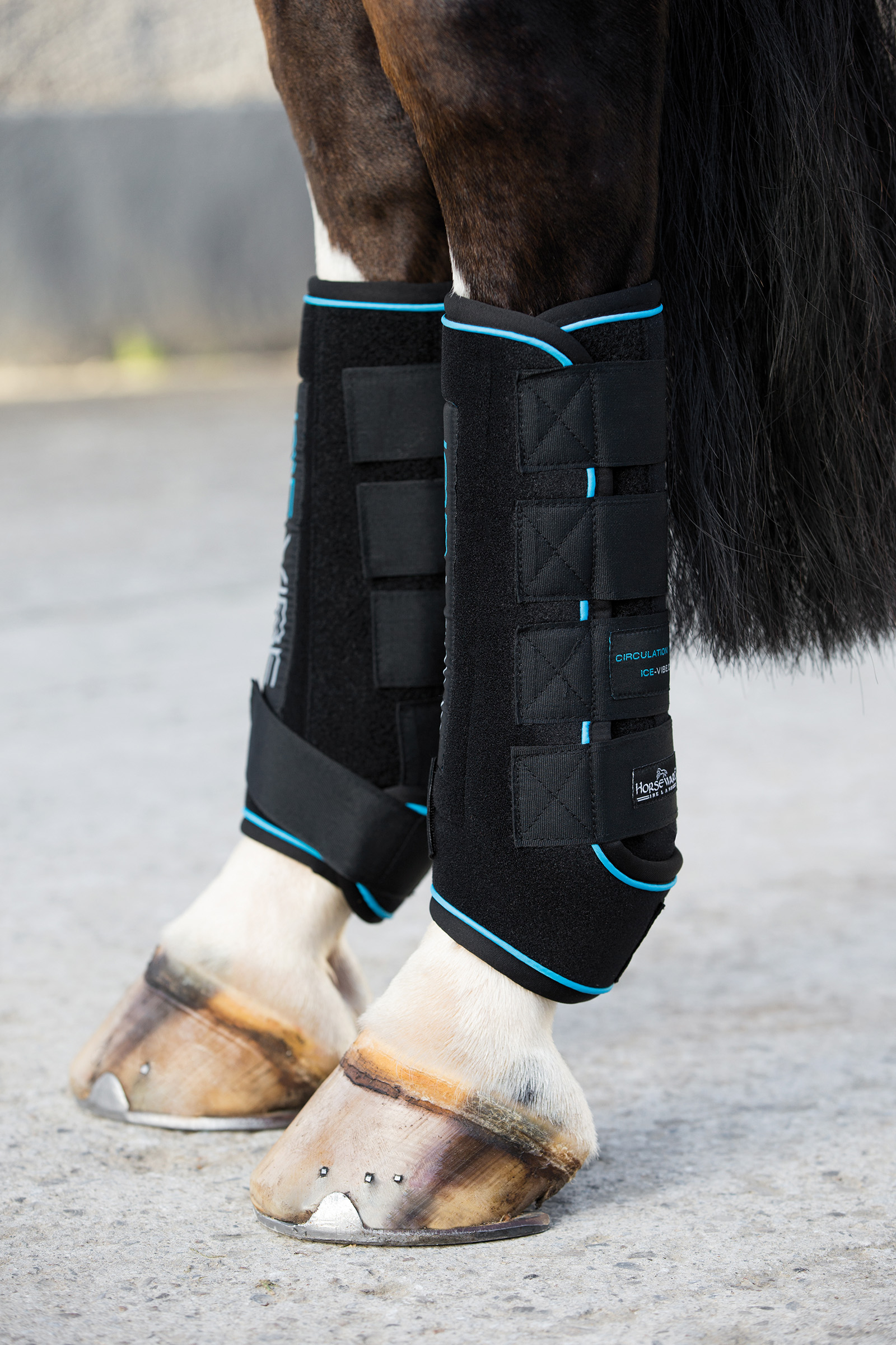 Horseware Ice-Vibe Gamaschen