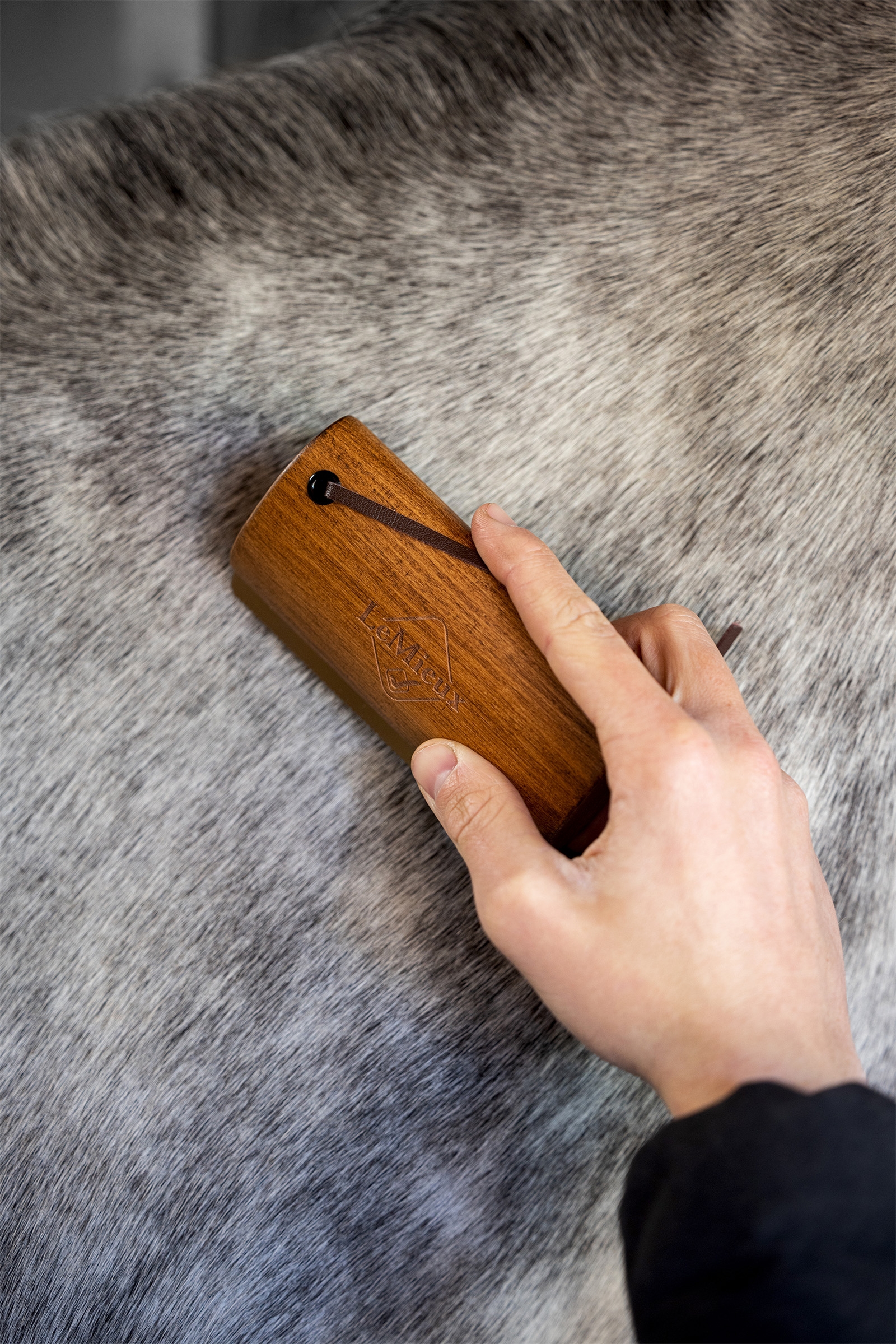 LeMieux Artisan Fellwechsel-Kamm