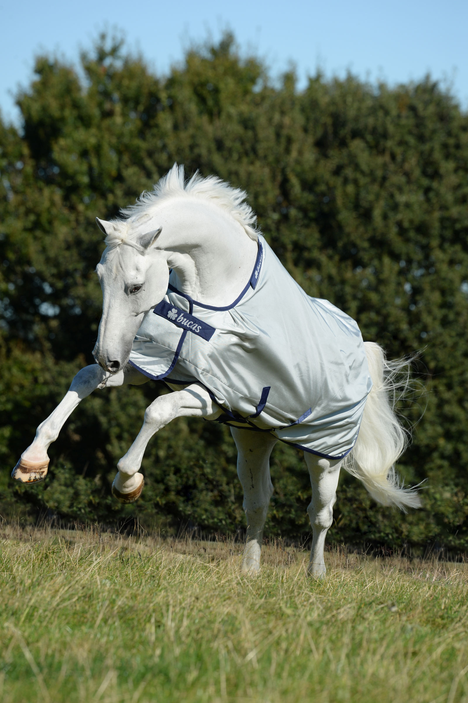 Bucas Power leichte Weidedecke, 0g