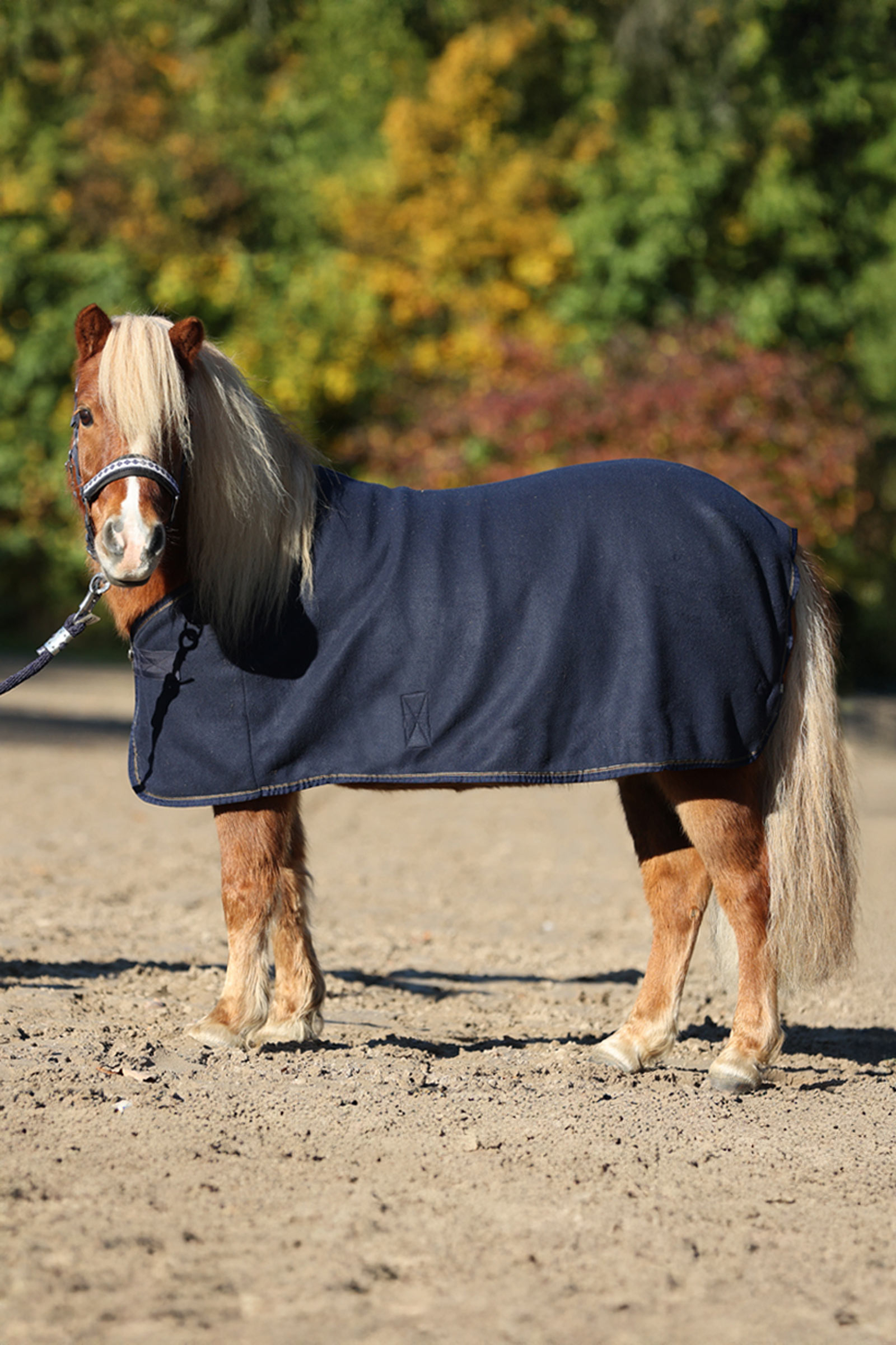 Kavalkade Ecoline Shetty Fleece Decke