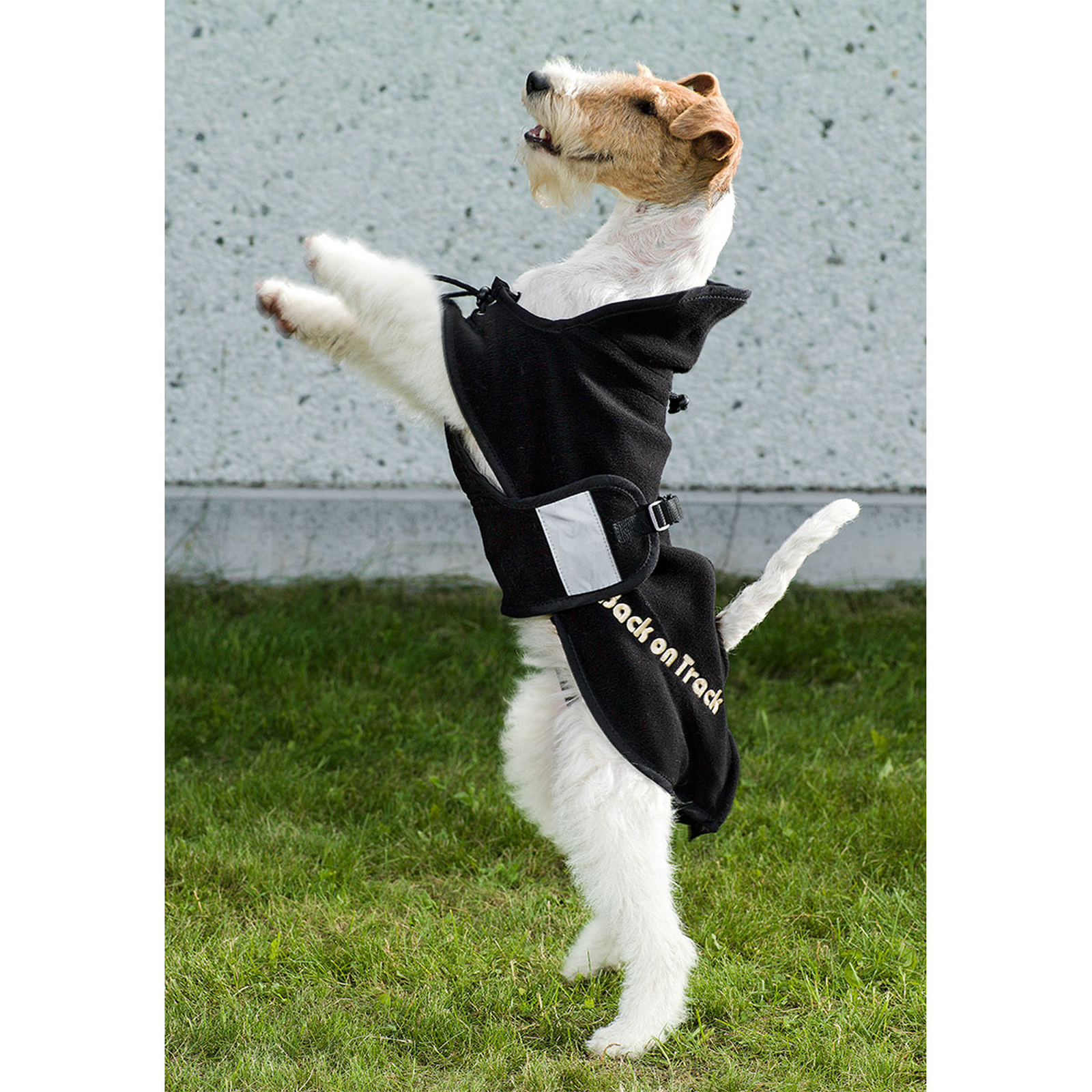 Back on Track Fleecedecke f&uuml;r Hunde, 21-34