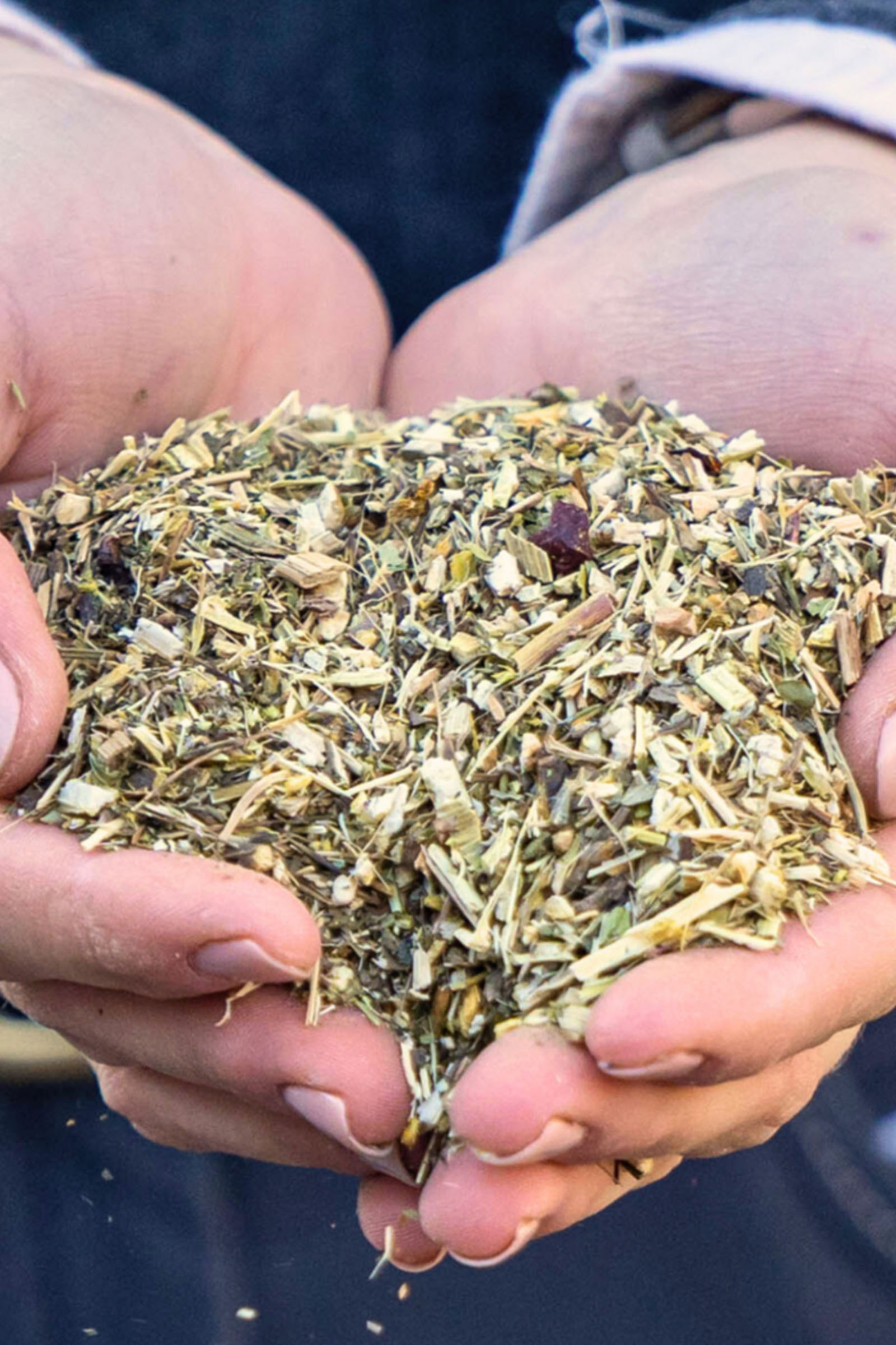 Stiefel Immunkräuter, 1kg