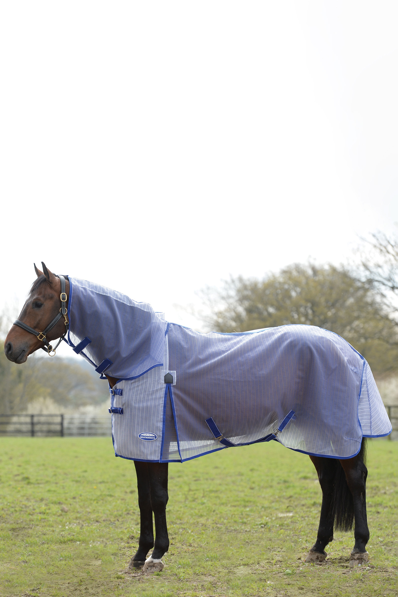 Weatherbeeta Comfitec Ripshield Plus mit  Bauchlatz und festem Halsteil