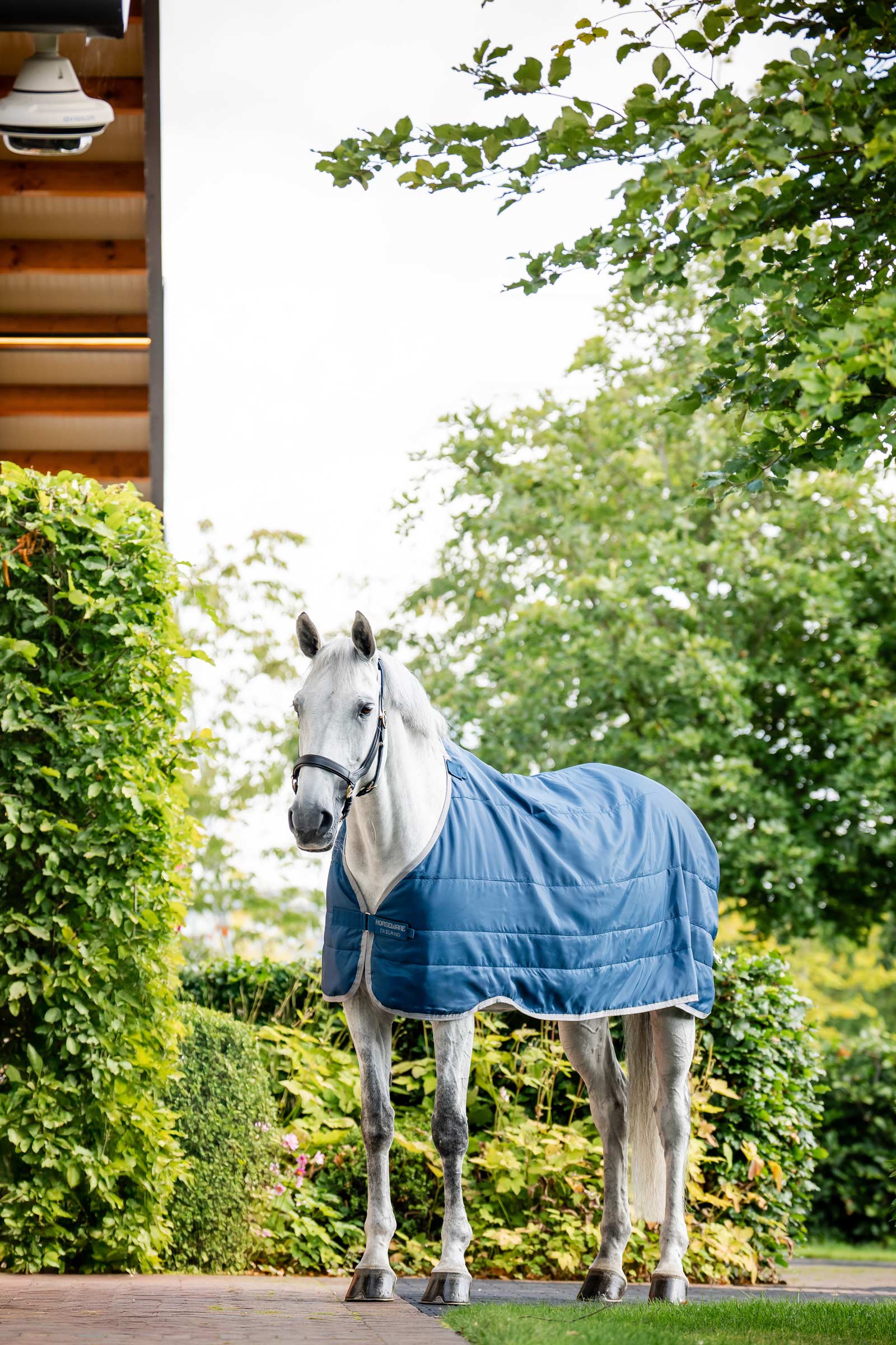 Horseware Ionic Therapy Unterdecke 50g