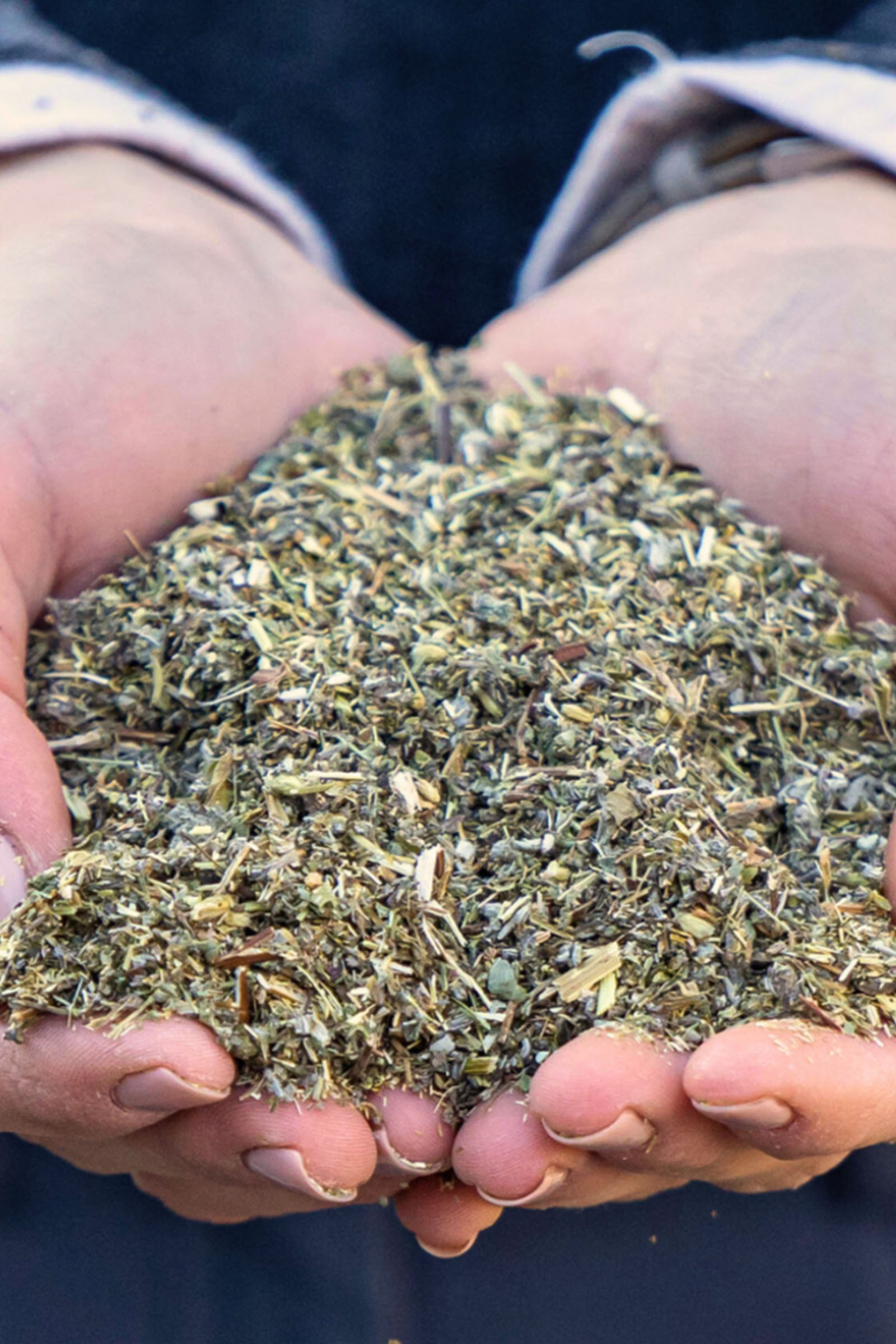 Stiefel Darmkräuter, 1kg