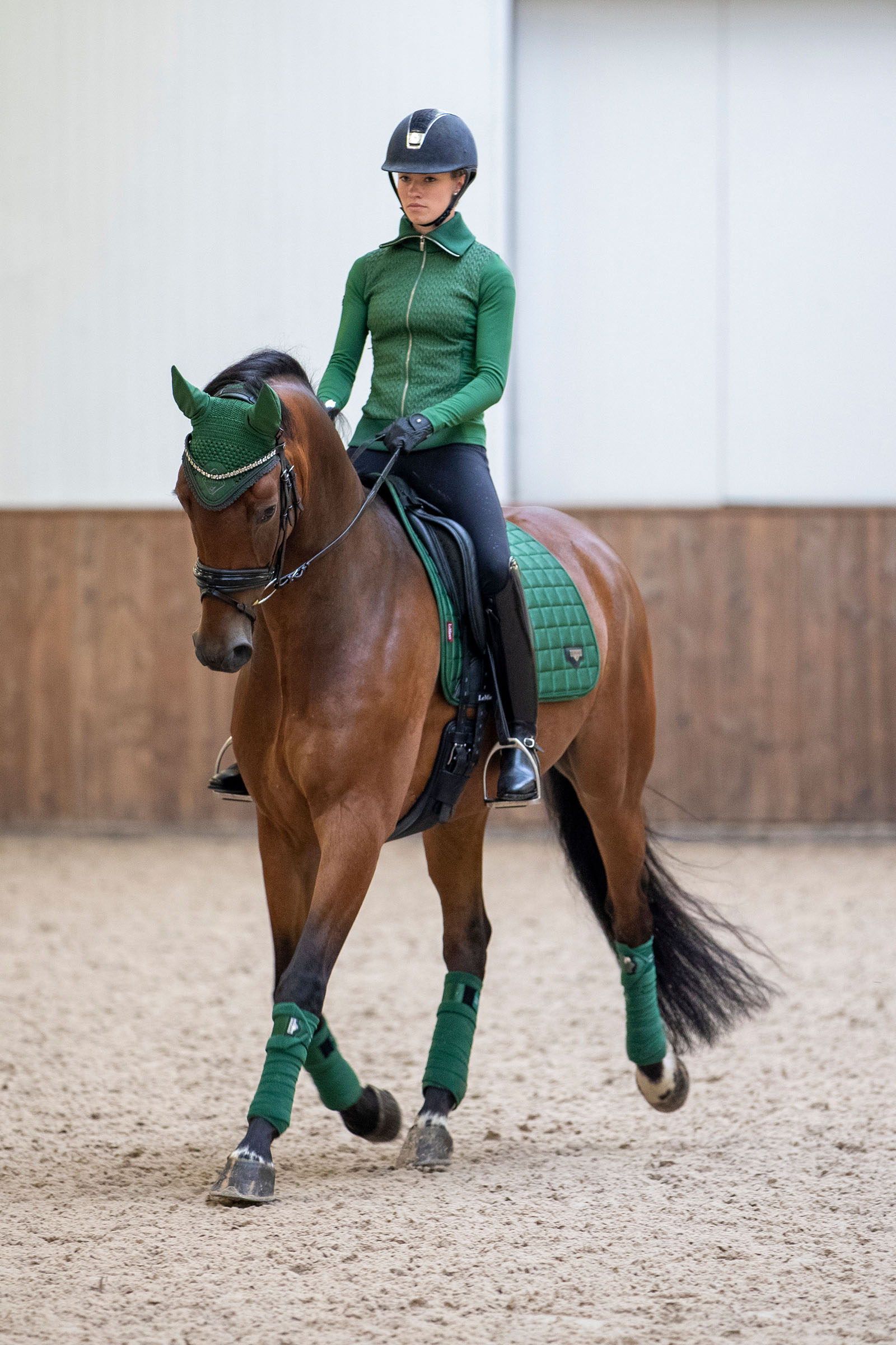 LeMieux Loire Classic Dressurschabracke