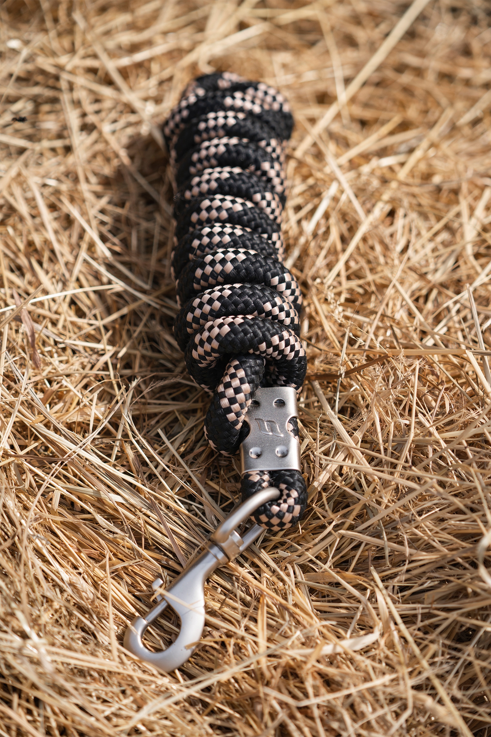 Back on Track Ace Führstrick