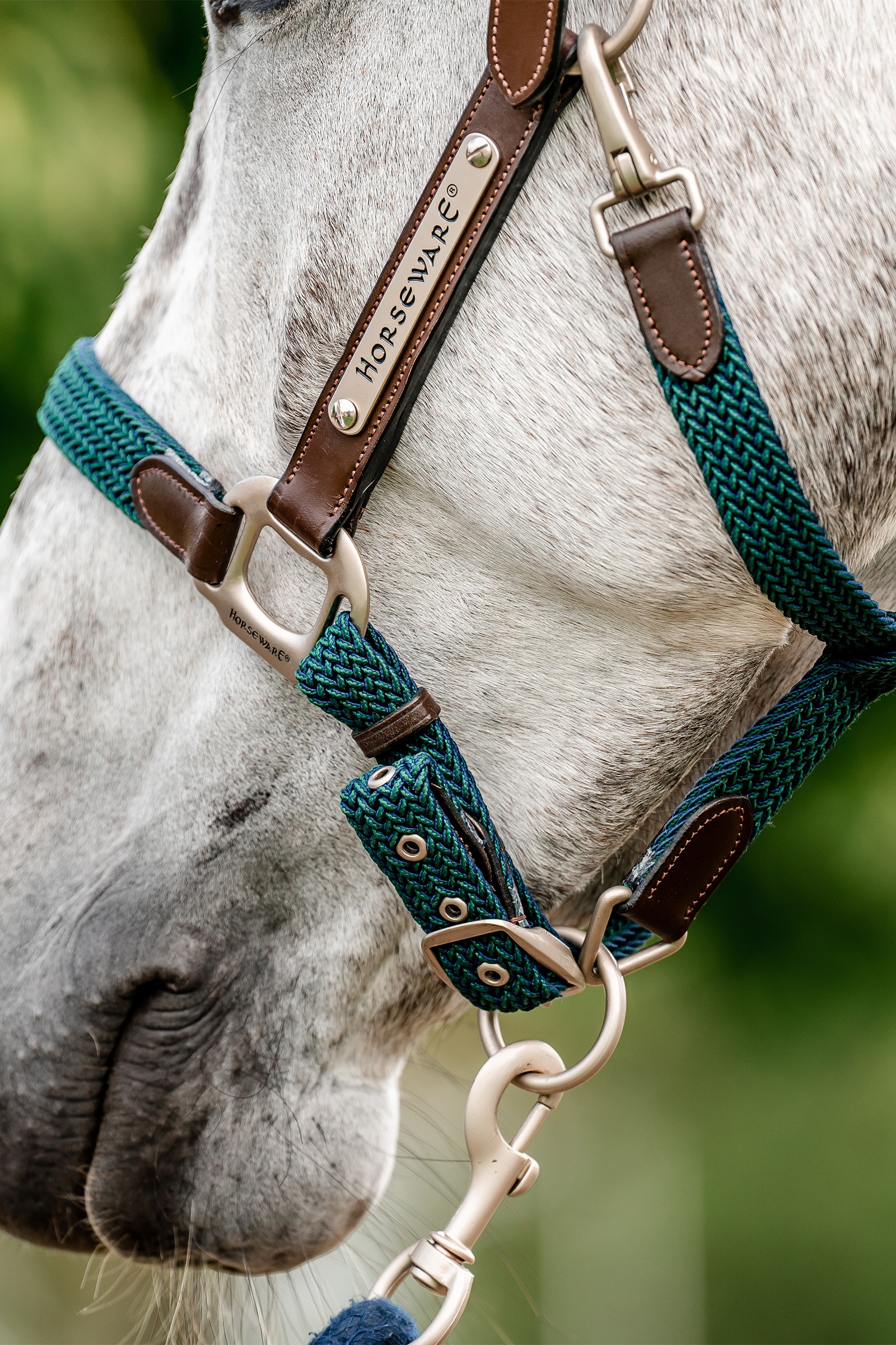 Horseware Signature geflochtenes Halfter