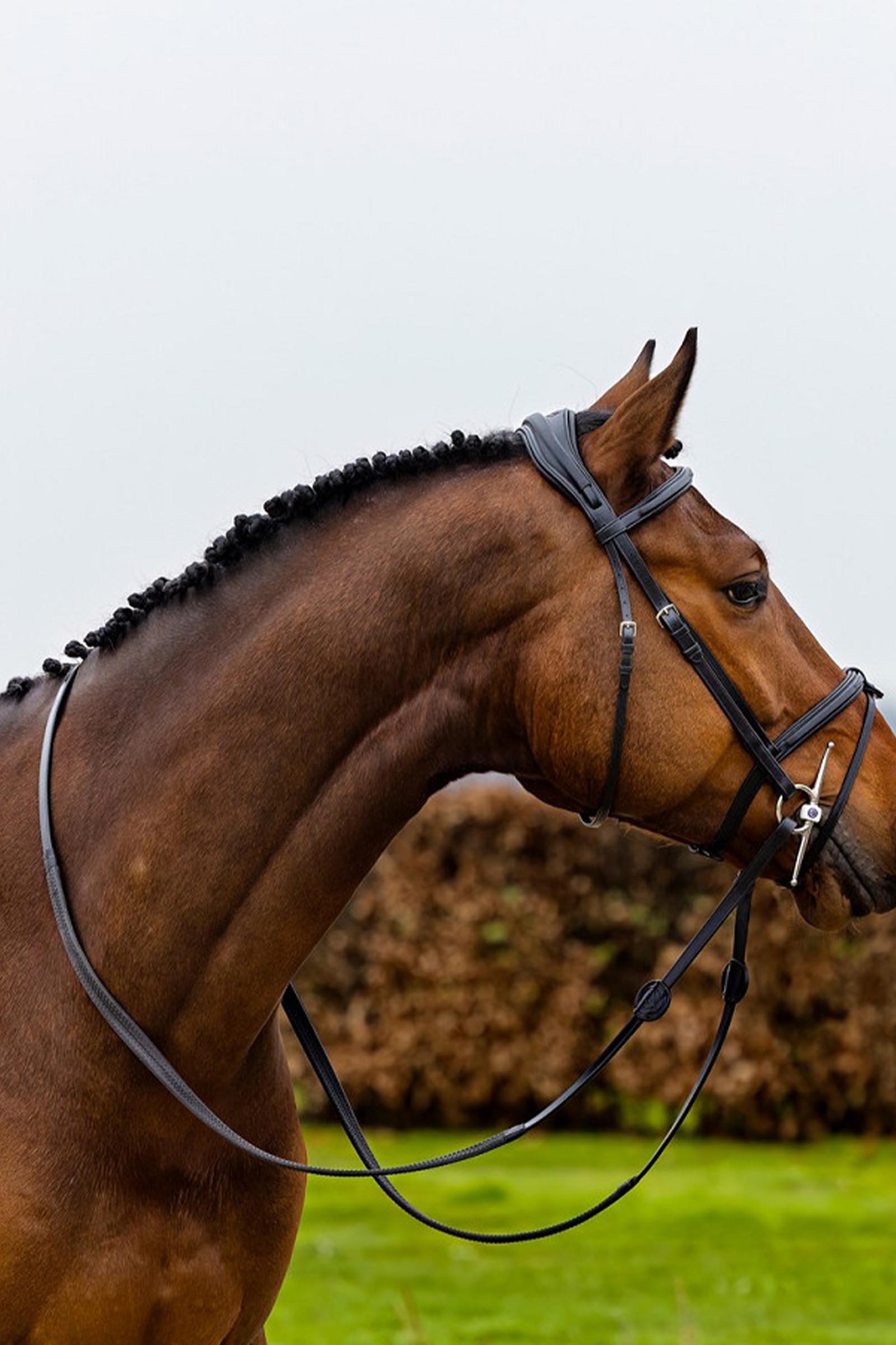 Trust Equestrian Geneva Combined Noseband Bridle
