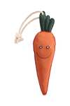 HorseGuard Karotte Pferdespielzeug