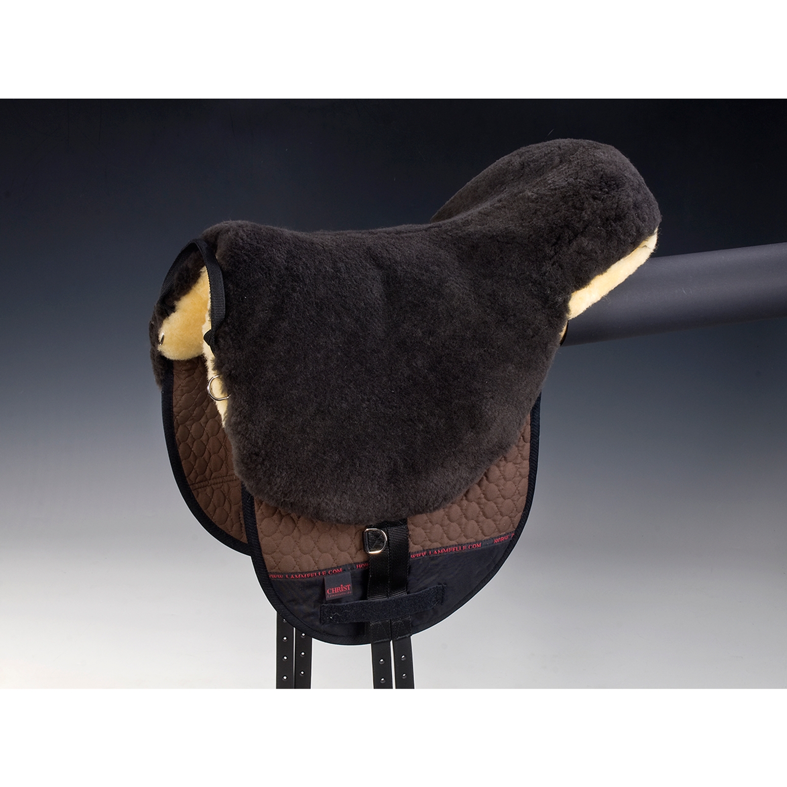 Christ Bareback riding Basic Plus, SH