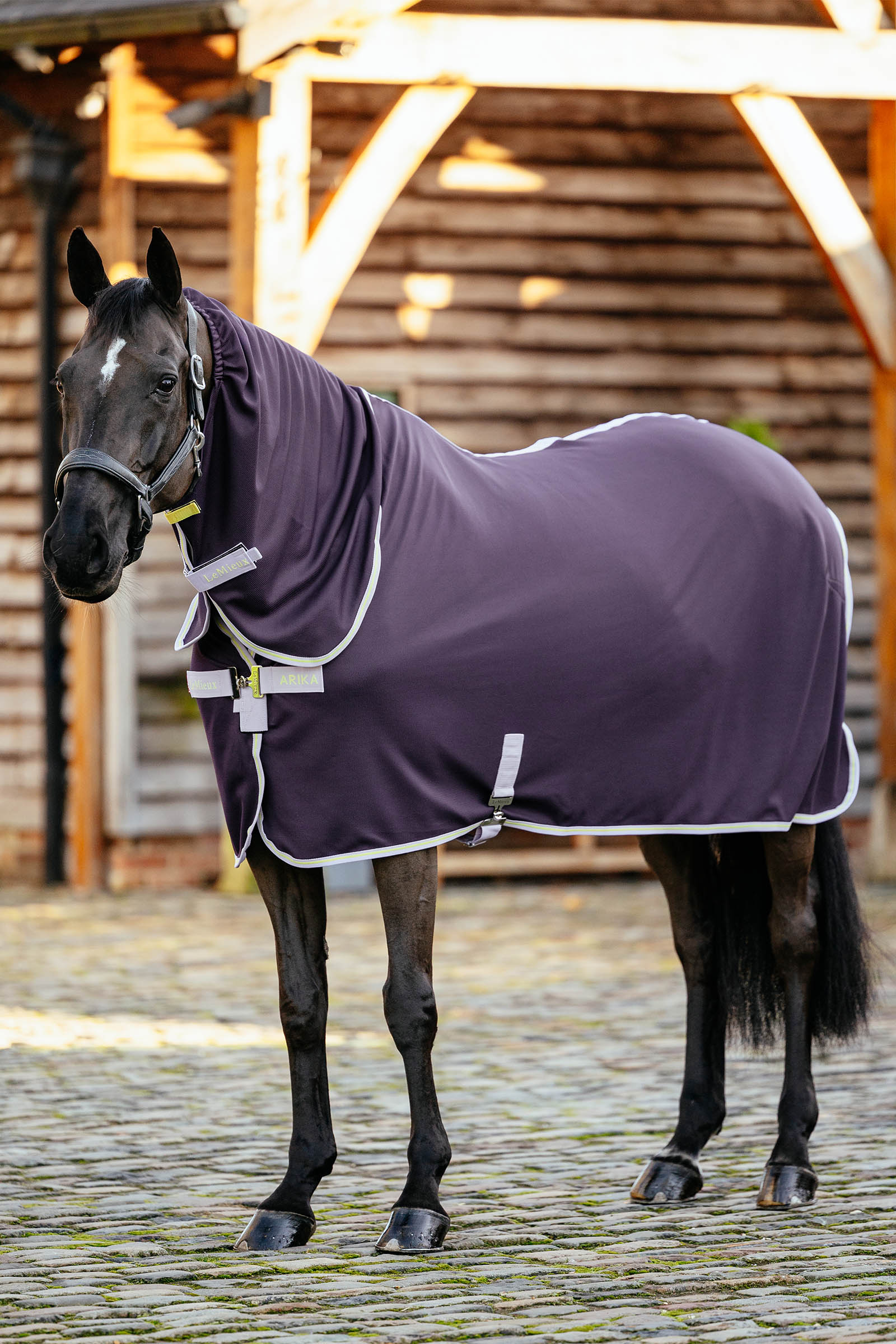 Juniper LeMieux Arika DryEase Decke