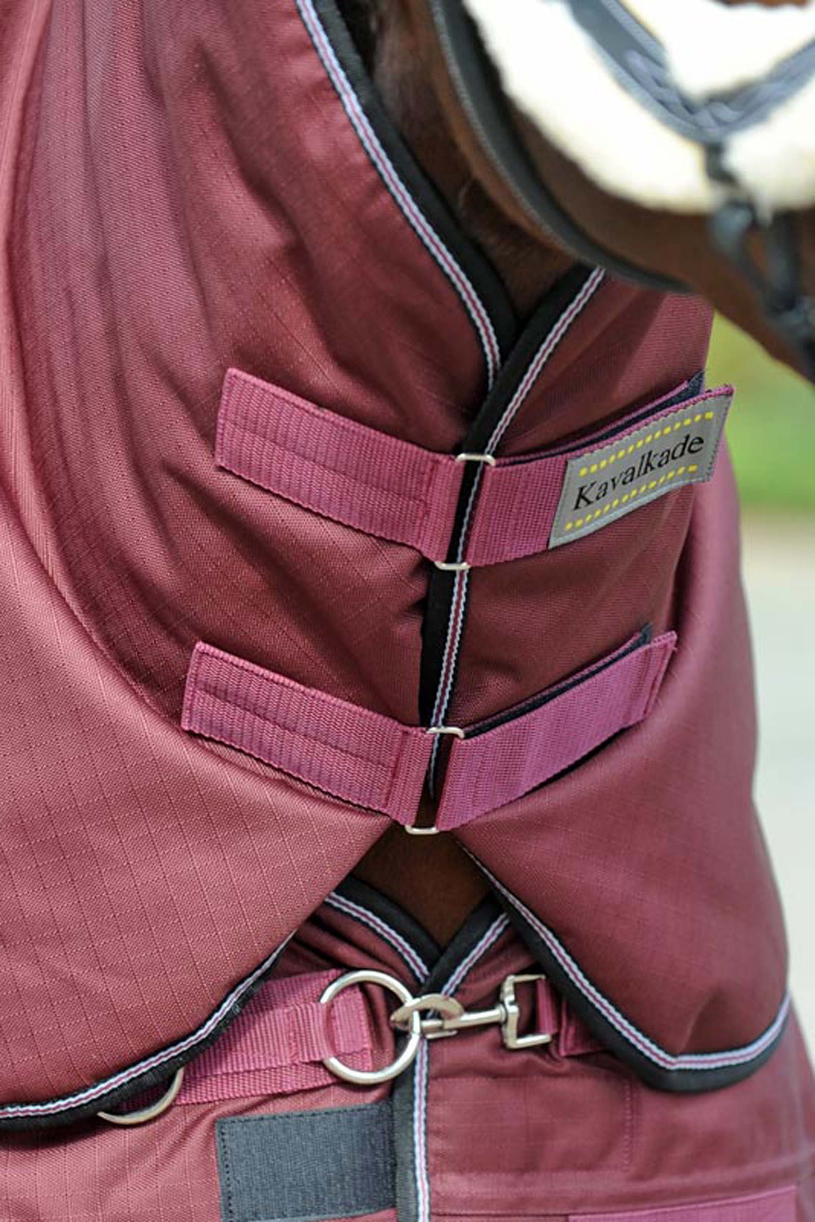 Kavalkade Halsteil f&uuml;r Alaska IV, 100 g