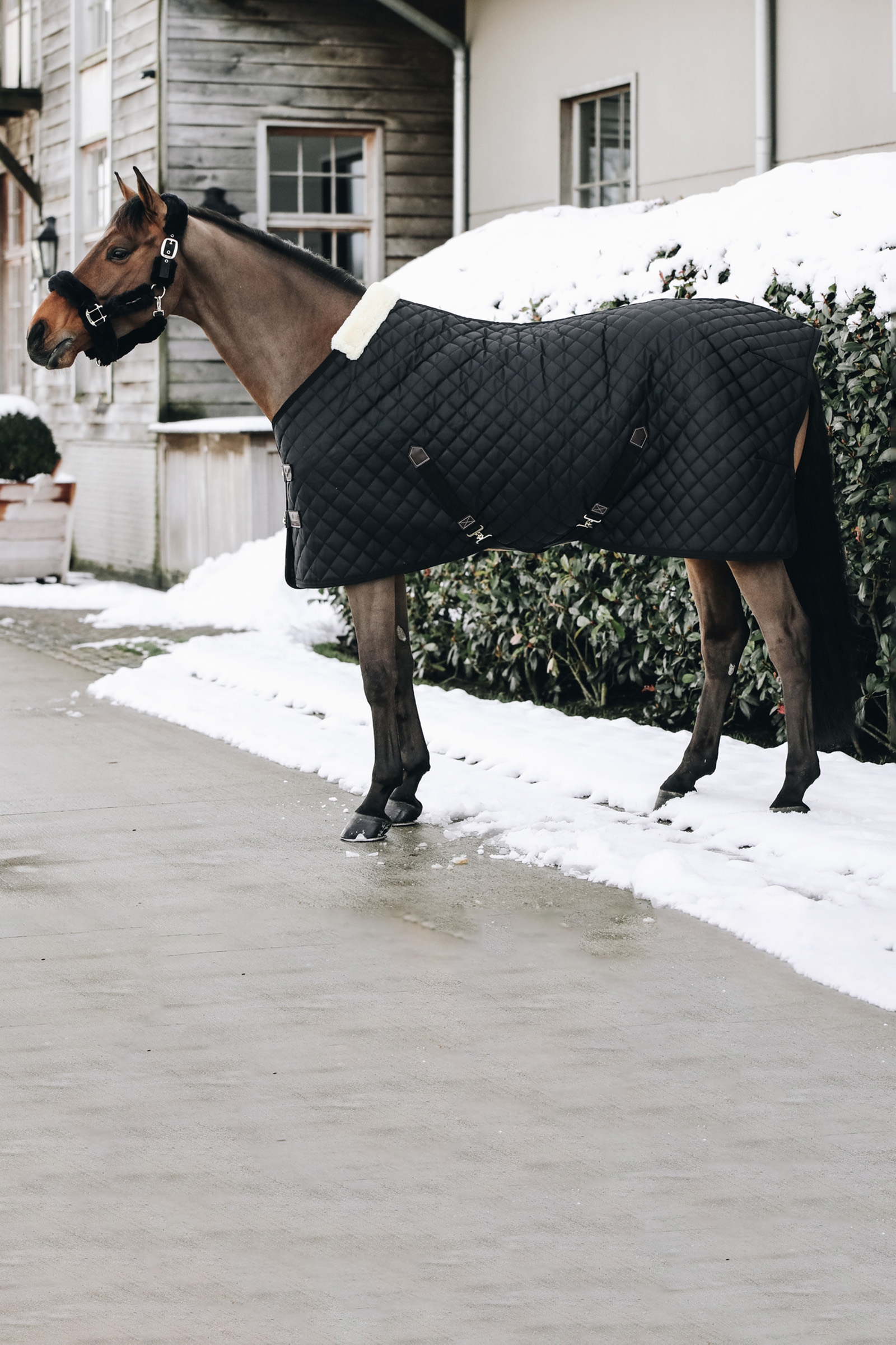 Kentucky Horsewear Stalldecke, 400g