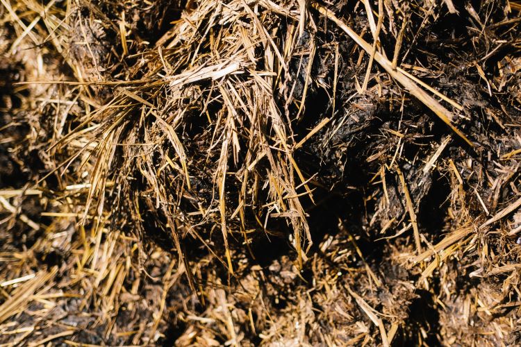 Ammoniakhaltiger Untergrund Ammoniakhaltiger Untergrund