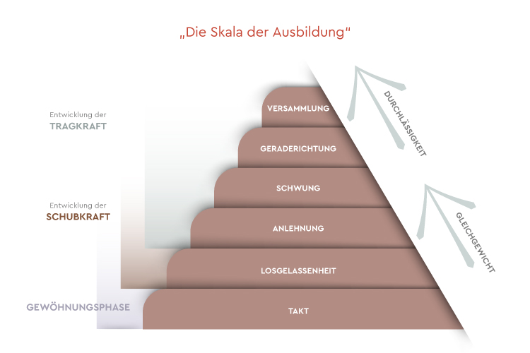 Die Skala der Ausbildung Infografik