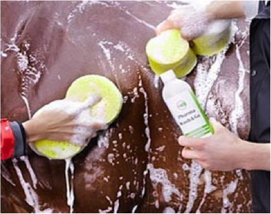 Styling für dein Pferd Styling für dein Pferd